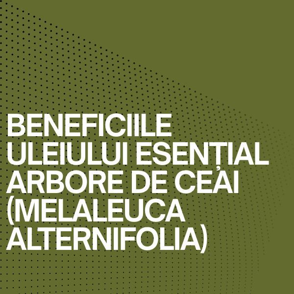 BENEFICIILE ULEIULUI ESENȚIAL arbore de ceai (Melaleuca alternifolia)