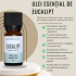 Ulei esential 100% pur Eucalipt beneficii